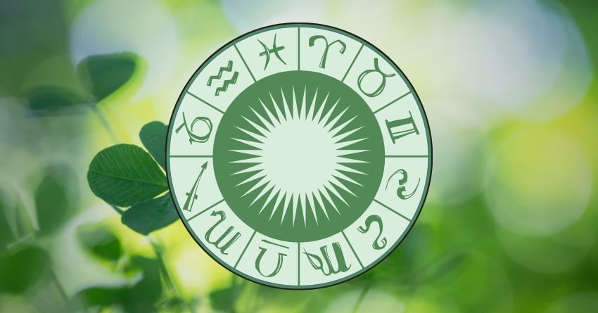 Zodiac wheel surrounded by green leaves on a soft green background
